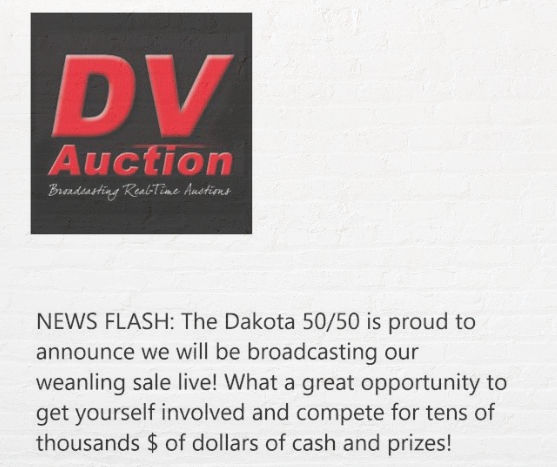 DV Auction_edited.jpg