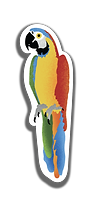 Illustration of a Parrot on a raised sticker style border