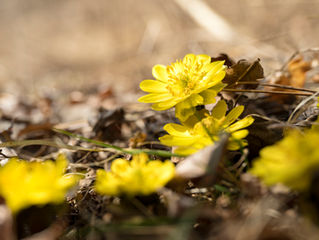 Photo of the week! -今週の一枚