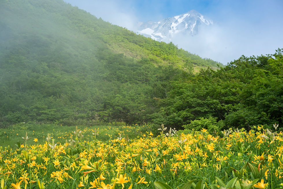 撮影地：長野県白馬村