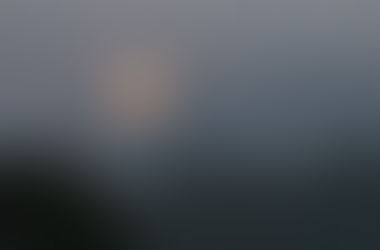 Photo of the week! -今週の一枚