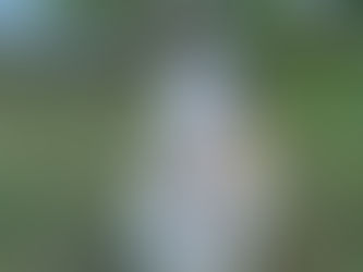 Todays Supervisor - Mac