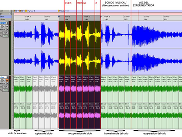 Análisis de la Psicofonía ELECTRONIC