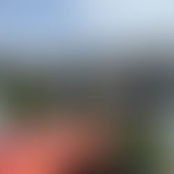 Transform Your Home's Appearance with Our Professional Roof Cleaning Services