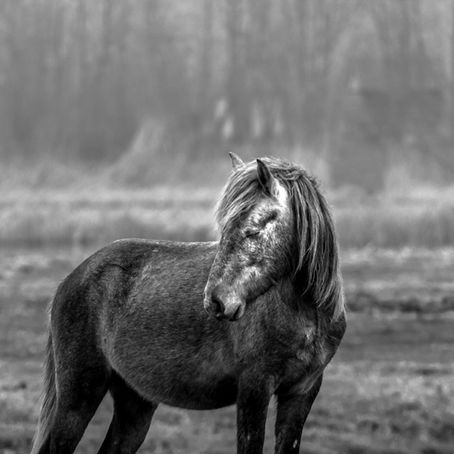 The Alchemy of Grief