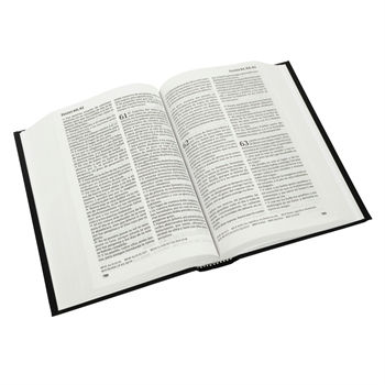 Thumbnail: Spanish Bible