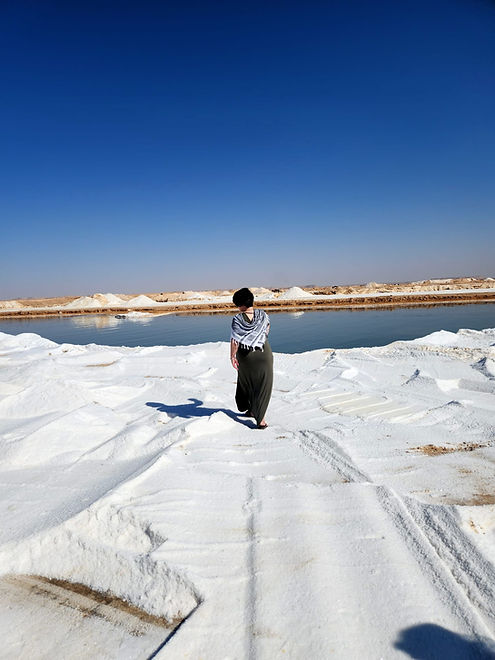 WhatsApp Image 2025-02-22 at 3.38.18 AM (1).jpeg