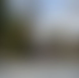 明けましておめでとうございます