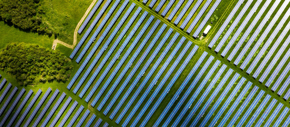 Projekt Solarpark - Werchau