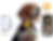 dog3.png