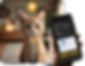 gato.png