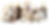 IMAGEN.png