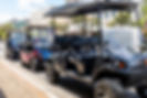 ThreeLinedUpontheRoad.jpg