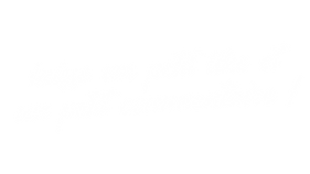 BANNIERE YOUTUBE (11).png