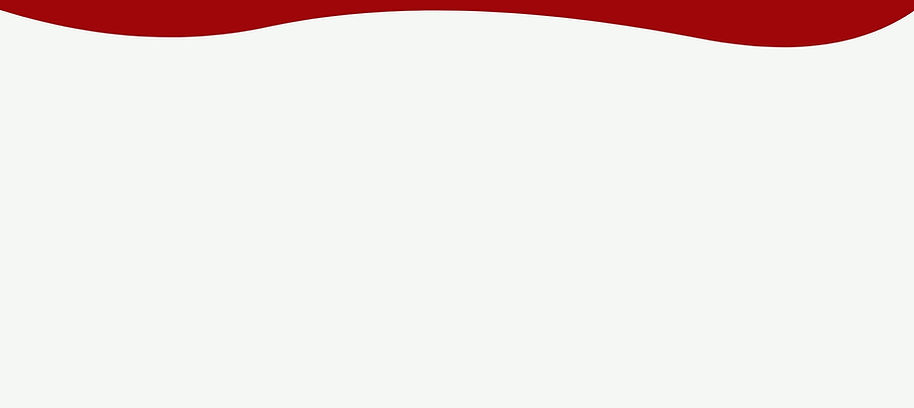 WebSite Banner (55).jpg