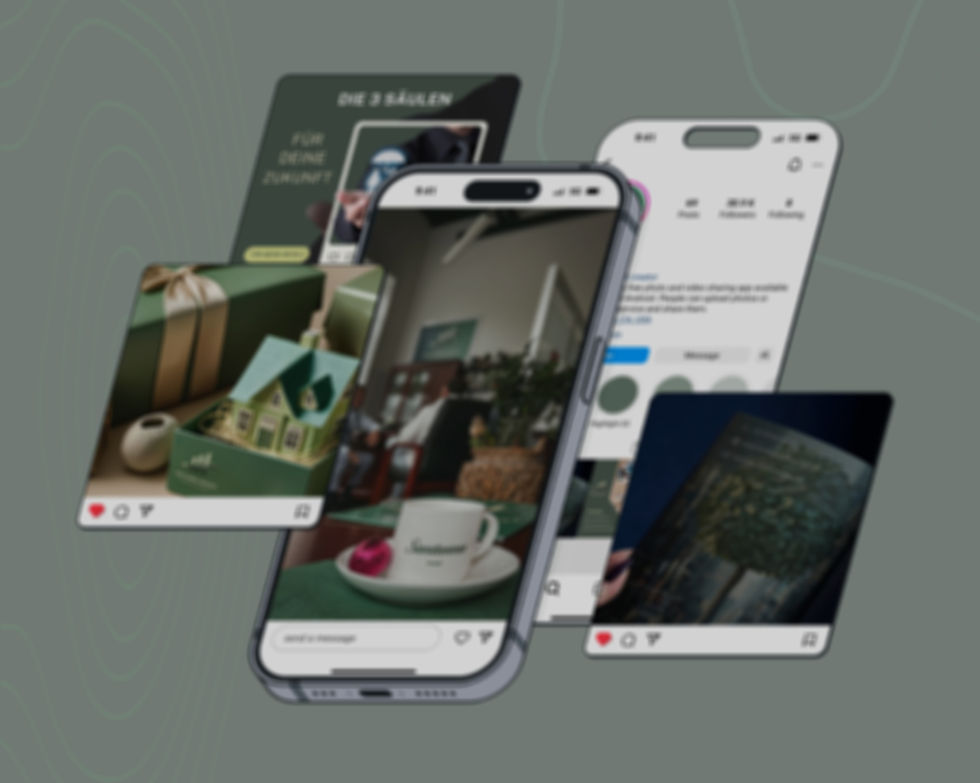 Mobile app interface preview