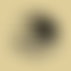 Hyeyoon wins prestigious German Critic’s award