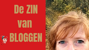 De ZIN van BLOGGEN