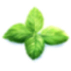 Basil Mayo