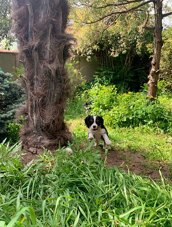 WhatsApp%20Image%202021-05-17%20at%2002.