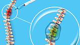Spine Injection.jpg