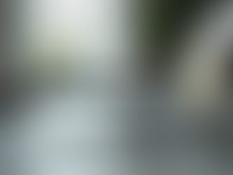 Explore Apex Solutions: Tailored Services for Your Business