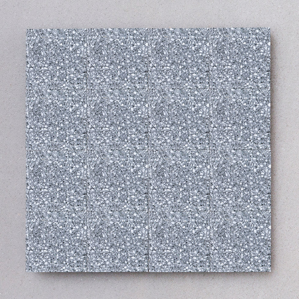 Küçük resim: Terrazzo 012