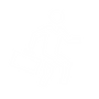 noun-career-199303-FFFFFF.png
