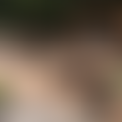 Outdoor Living Upgrades Add Value to Your Home