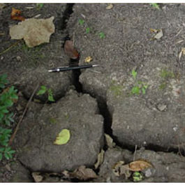 Buying your first home can feel overwhelming, especially in a bustling area like Dallas-Fort Worth (DFW). With its thriving economy and diverse culture, the DFW housing market is full of opportunities, but it also presents challenges. This blog post provides essential insights that can help first-time buyers make smart choices and navigate the housing landscape with confidence. Understanding the DFW Housing Market The DFW housing market stands out as one of the fastest-growing in the United States. Over the past decade, the region has seen a population increase of over 20%. This surge is largely due to job growth in sectors like technology, healthcare, and finance. As more people move to the area for work and a better quality of life, home prices have risen accordingly. For first-time buyers, familiarizing themselves with the local market is crucial. Knowing that the median home price in DFW exceeded $350,000 in 2023 can help buyers set realistic budgets and expectations. The competition can be fierce, especially for homes in popular neighborhoods, making it vital to be prepared. The Importance of Home Inspections Conducting a home inspection is one of the most important steps in the buying process. A solid inspection can reveal issues that might be hidden from the naked eye. For instance, structural problems, electrical wiring issues, or outdated plumbing can lead to costly repairs later on. First-time buyers should not overlook this step. In the DFW area, companies like Green Scene Home Inspections offer detailed evaluations that can save buyers money and headaches down the road. Investing in a home inspection typically costs between $300 and $500, which is a small price compared to the potential expenses from unforeseen repairs. Neighborhoods to Consider DFW boasts a variety of neighborhoods, each with its unique character. Here are three popular options for first-time buyers: Deep Ellum : This vibrant area is known for its art scene and live music. With a growing number of restaurants and bars, it attracts many young professionals. The average home price here is around $450,000, making it a trendy yet competitive choice. Frisco : A family-oriented suburb, Frisco is famous for its top-rated schools and expansive parks. Homebuyers looking for a safe environment will find lovely single-family homes averaging around $400,000 here. Oak Cliff : This neighborhood combines historic charm with modern amenities, making it appealing to diverse buyers. Sample home prices range from $300,000 to $500,000, catering to various budgets. Researching potential neighborhoods that align with your lifestyle and needs is essential for ensuring a satisfying home purchase. Financing Options for First-Time Buyers Understanding financing options is crucial when purchasing a home. Various programs help first-time buyers lessen the financial burden. For example: Texas State Affordable Housing Corporation (TSAHC) provides first-time homebuyer grants and low-interest loans that can significantly reduce upfront costs. Federal Housing Administration (FHA) loans are popular as they require lower down payments, typically around 3.5% of the home price. Before starting the home search, buyers should talk to lenders for pre-approval. This can speed up the process and improve chances in a competitive market. The Role of Real Estate Agents First-time buyers may find the DFW housing market complex. This is where a skilled real estate agent can be their best ally. A knowledgeable agent will have insights into local market trends and negotiation tactics that can save buyers money. When searching for an agent, look for someone with proven experience in DFW and a solid track record with first-time buyers. A strong partnership with an agent can make the entire home-buying experience smoother. Future Market Trends Keeping an eye on market trends is important for first-time buyers. Projections suggest that the DFW housing market will continue to thrive, with an expected 2-3% increase in home values over the next year. This trend means potential buyers should act timely to avoid paying even higher prices later. Additionally, it's crucial to be aware of external factors like rising interest rates, which can affect purchasing power. Keeping informed about these trends can help first-time buyers make strategic decisions and time their purchase wisely. Wrapping Up Purchasing a home in the DFW area can be a rewarding journey for first-time buyers. By grasping the local housing market, prioritizing home inspections, and exploring various neighborhoods, buyers can feel more at ease throughout the process. Additionally, leaning on an experienced real estate agent and staying updated on market trends can further smooth the buying experience. With thorough preparation and valuable insights, first-time buyers can find the perfect home in the vibrant DFW area.