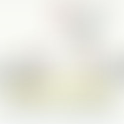 Happy Thanksgiving From Green Scene Home Inspections!