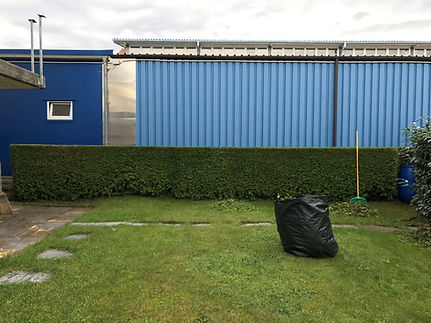 Gerade Hecke.JPG