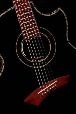 255772_215493958491096_4450370_n