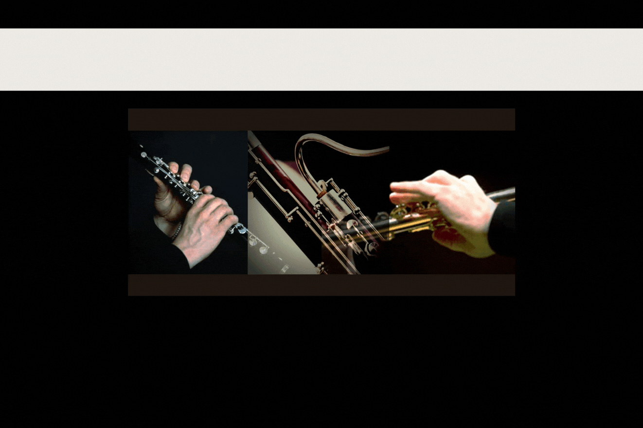 PARTES PARAS MADERAS.gif