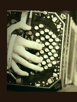 A%C3%B1adir%20un%20poquito%20de%20texto_