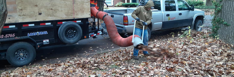 Leaf Vacuum System
