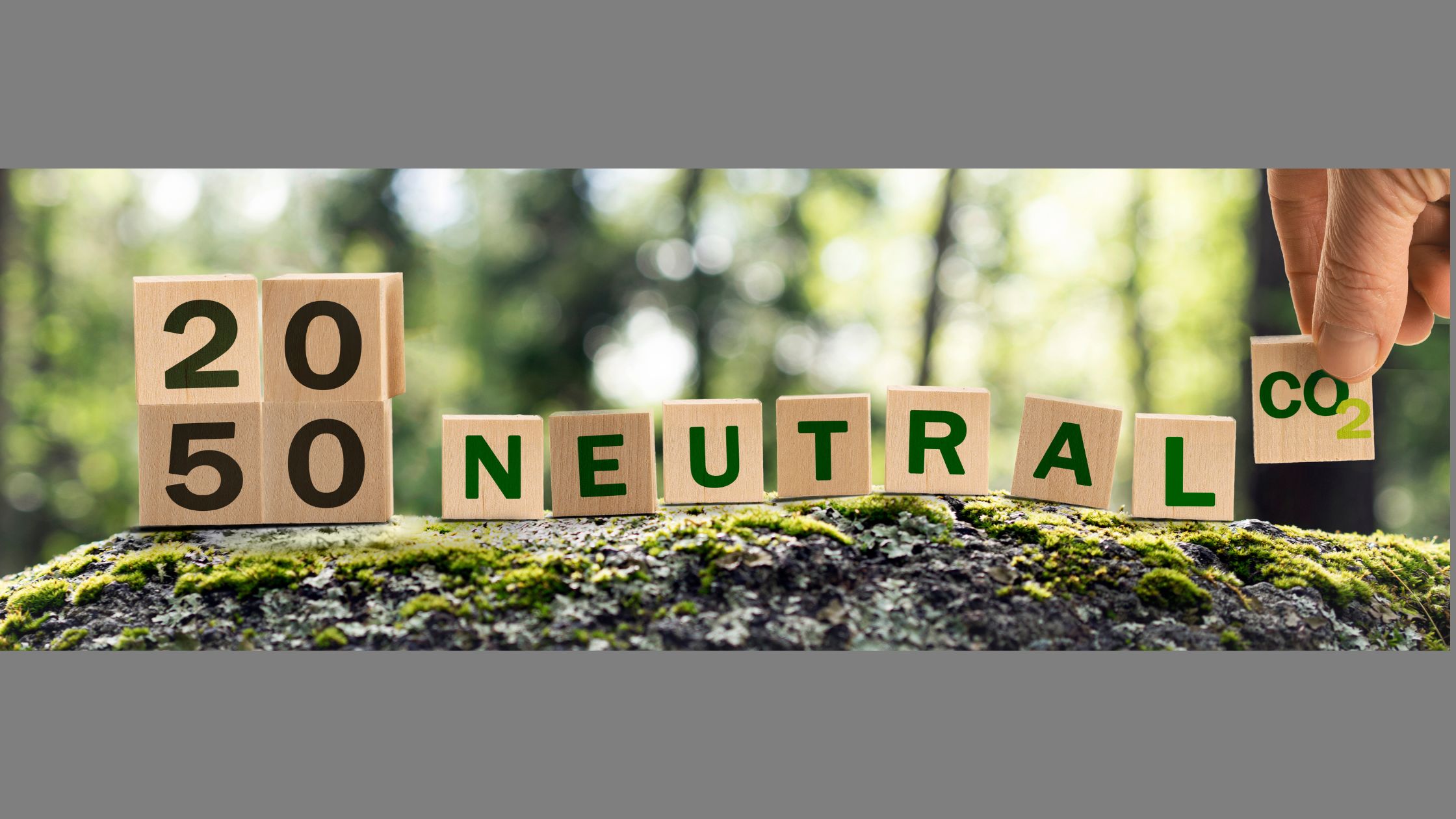 Nestlé and Cargill Supply Chain Experiment