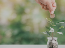 The Economic Effects of Sustainable Measures 