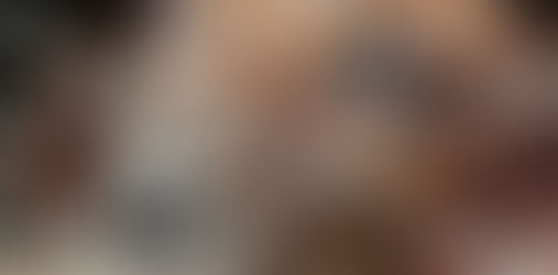              EL MALTRATO ANIMAL EN MÉXICO 