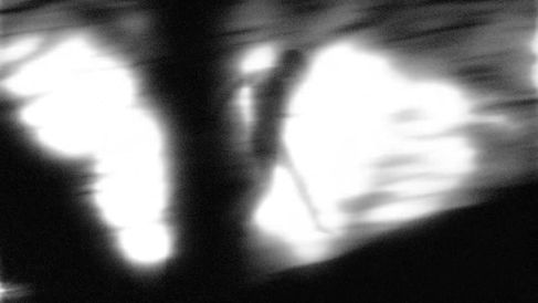 Brauin_BornInStone_MV_Clover_v003_30fps (0;00;49;03).jpg