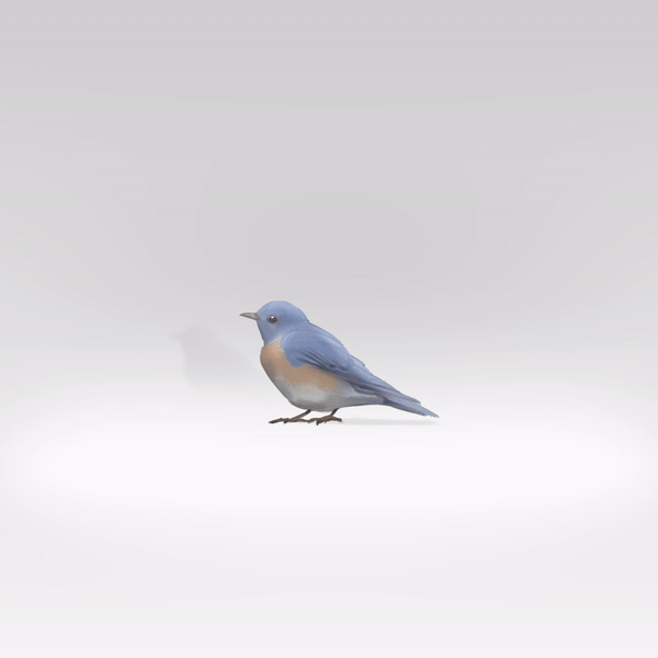 BTS_StandingBird_v002.gif