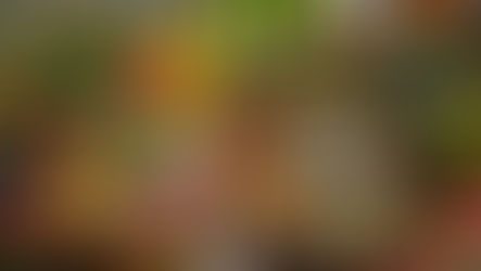 5 vantagens de comprar frutas, legumes e verduras online 