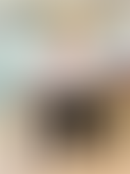 Cmte. Leandro Sobral recebe homenagem pela atuação como Conselheiro da ASAGOL