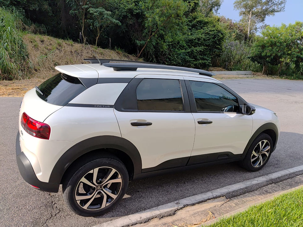 Miniatura: Citroen Cactus Feel Pack 2021