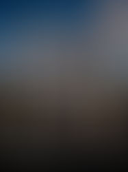 Workshop ASAGOL: veja o que vem por aí!