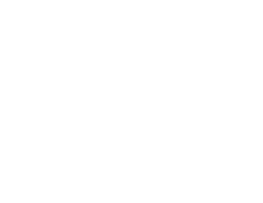 Spur Ridge Capital Logo_edited_edited.png