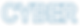 Cyber breach program