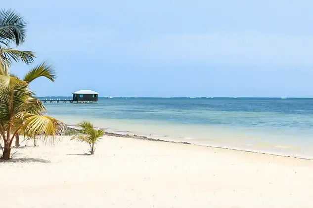 north-beach-retreat-transportation.webp