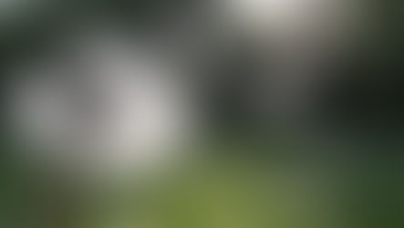 להקשיב. לבקש.