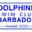 Swim Dolphins.jpg